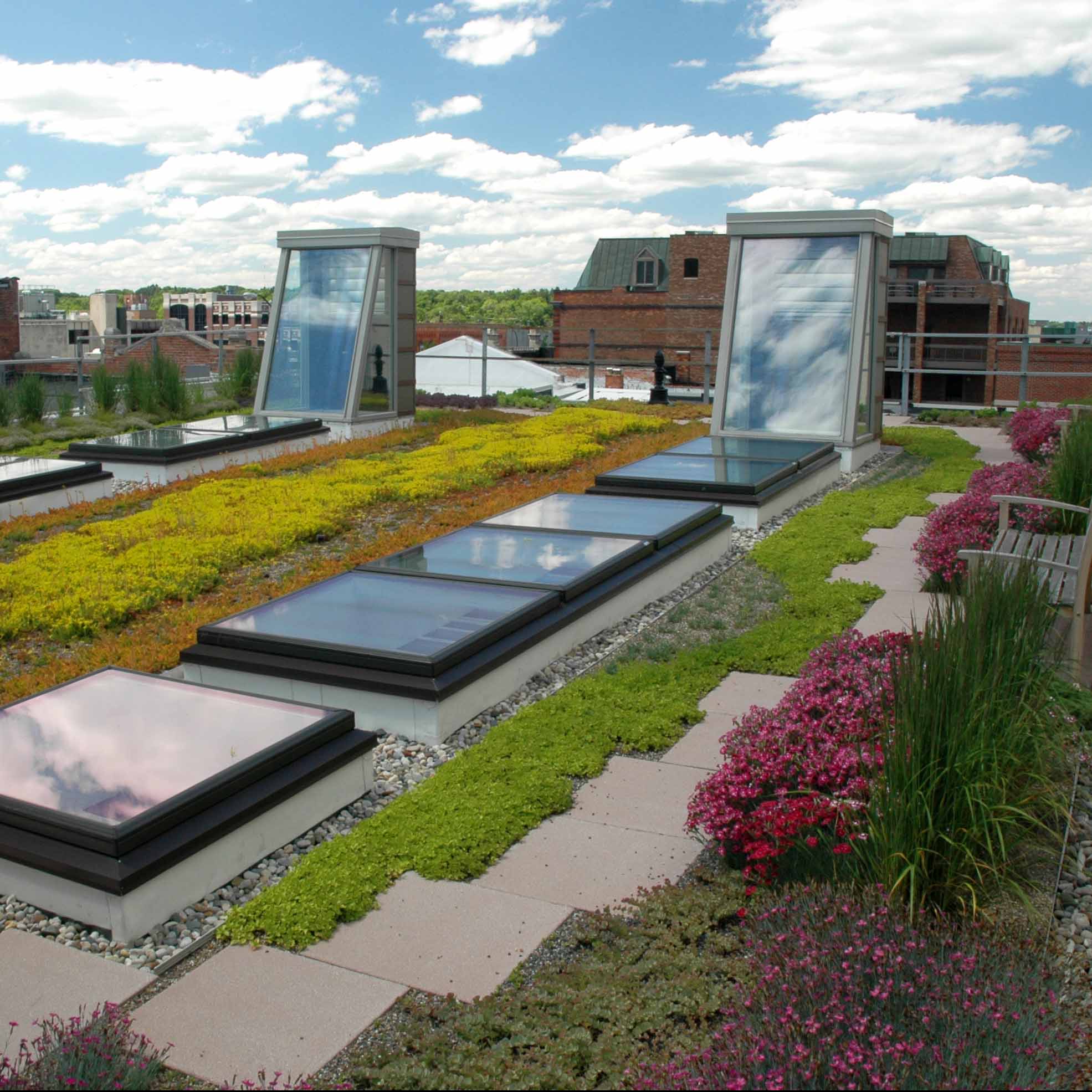 Office Green Roof