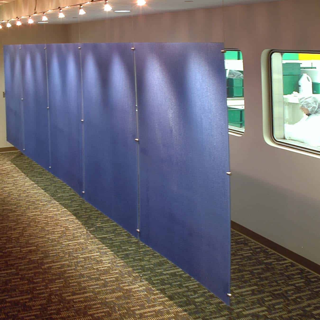 Unique Blue Wall Design at Aastrom Biosciences