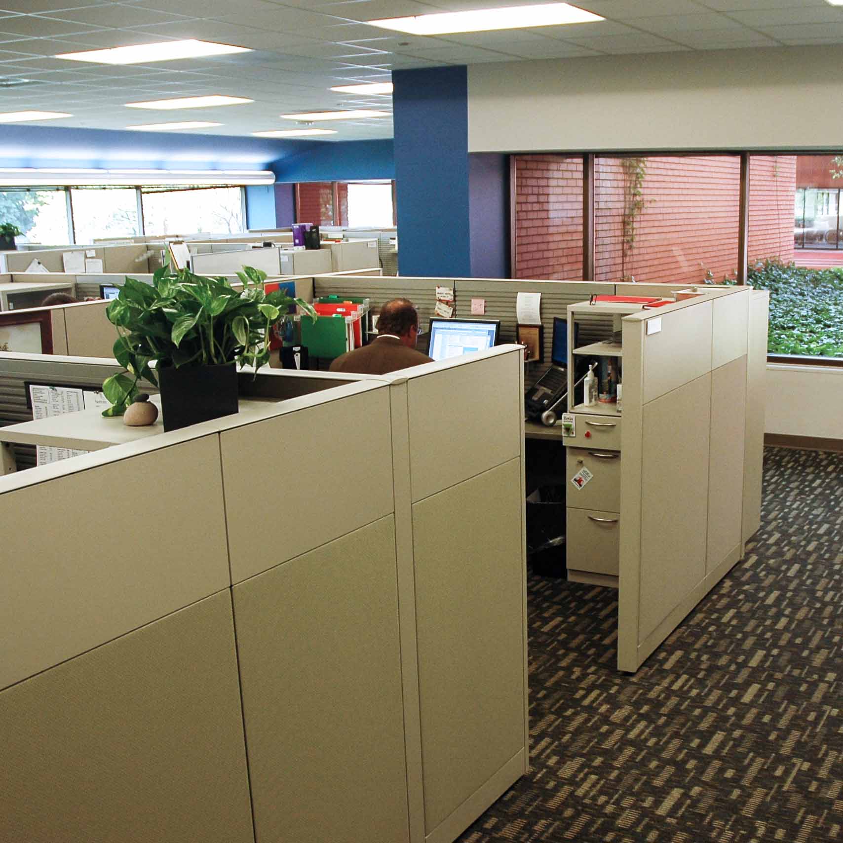 Workstation Design with Ample Daylight