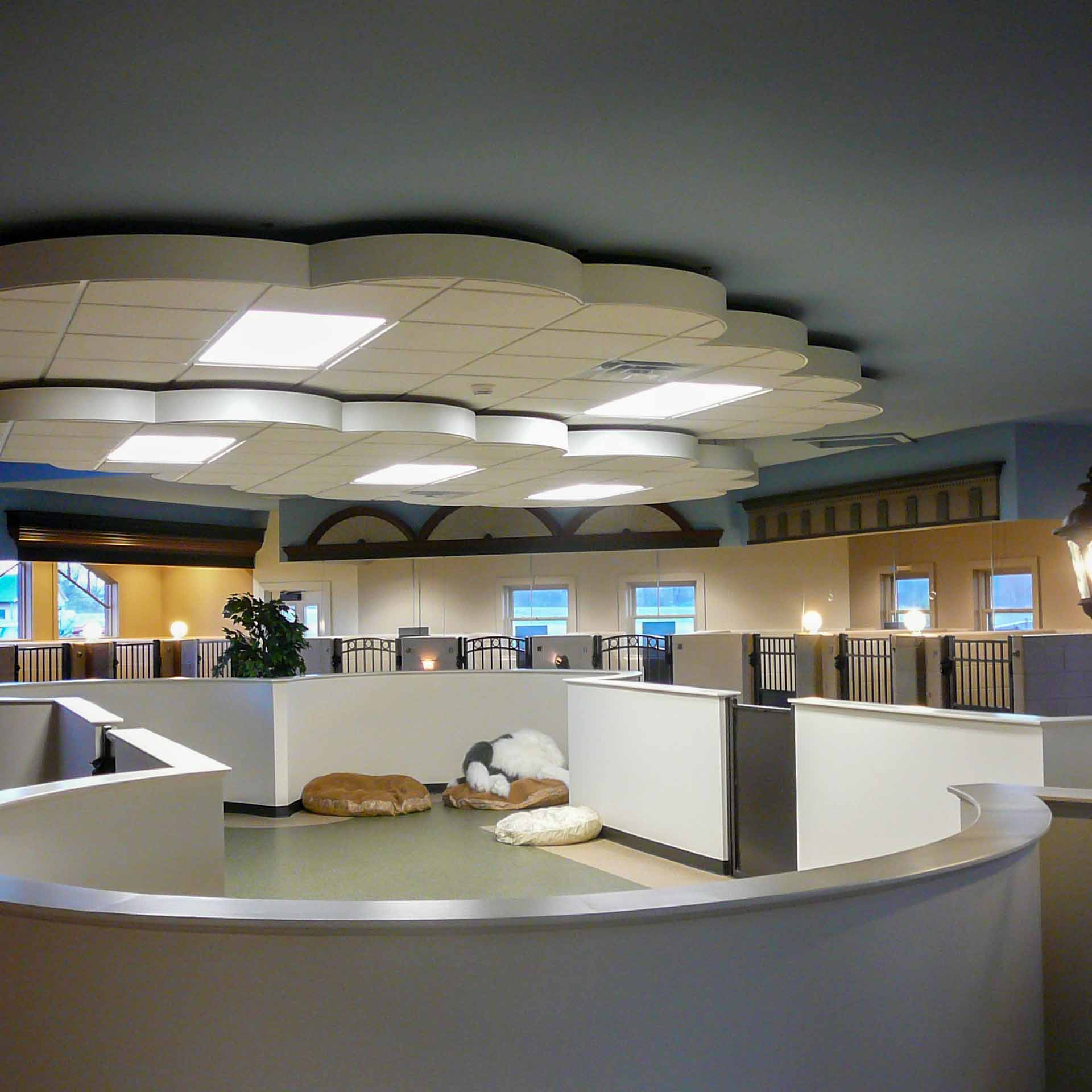Animal Care Architecture