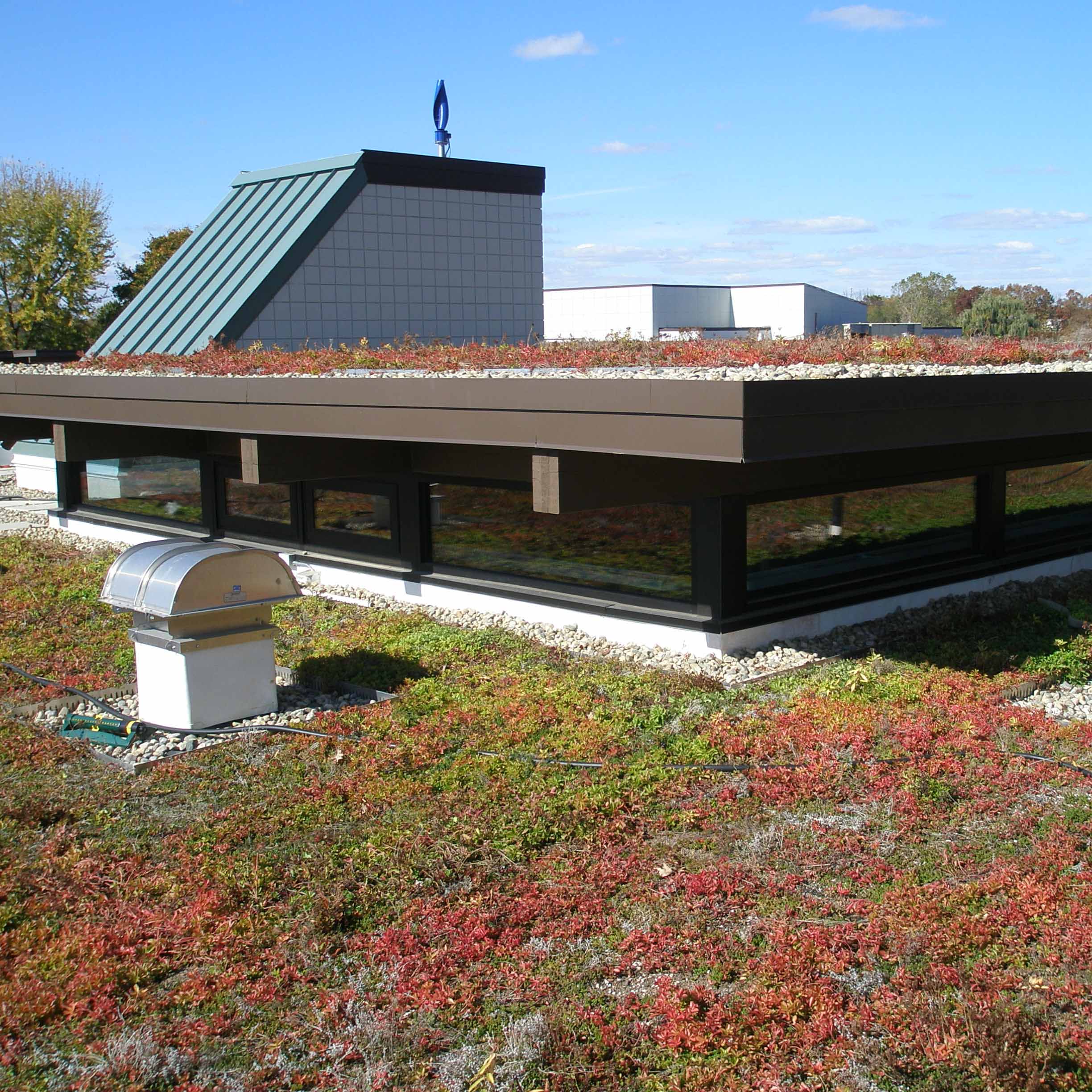 LEED Science Green Roof