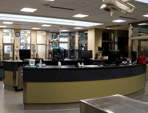 Michigan State University – Veterinary Teaching Hospital Critical Care Unit
