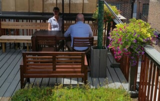Our Office Green Roof