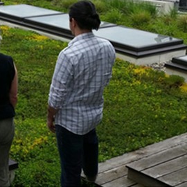 Edmond at our old Green Roof